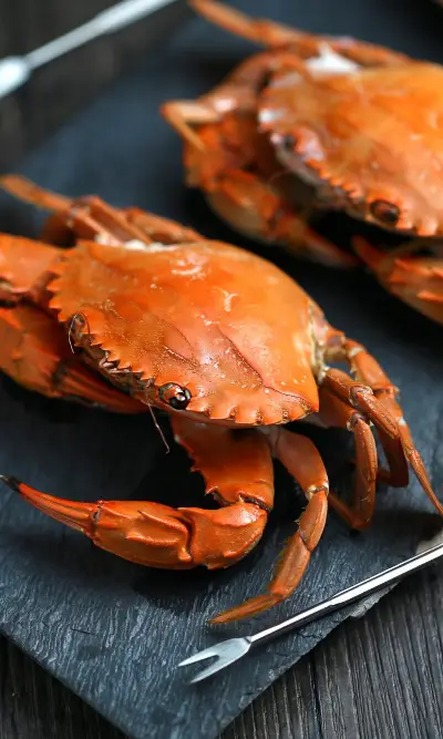 Gratin Fruits de Mer